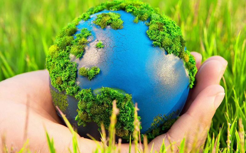 Всероссийский детский экологический конкурс "Зелёная планета"